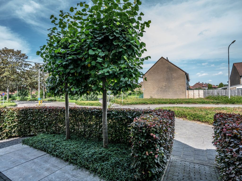 Tarbot 6, Ridderkerk
