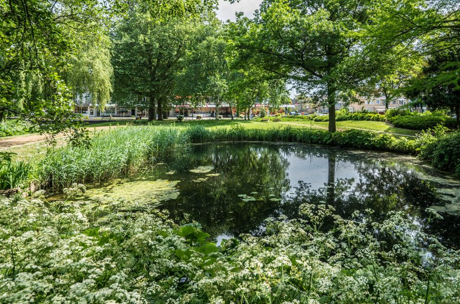 Kloosplantsoen 549