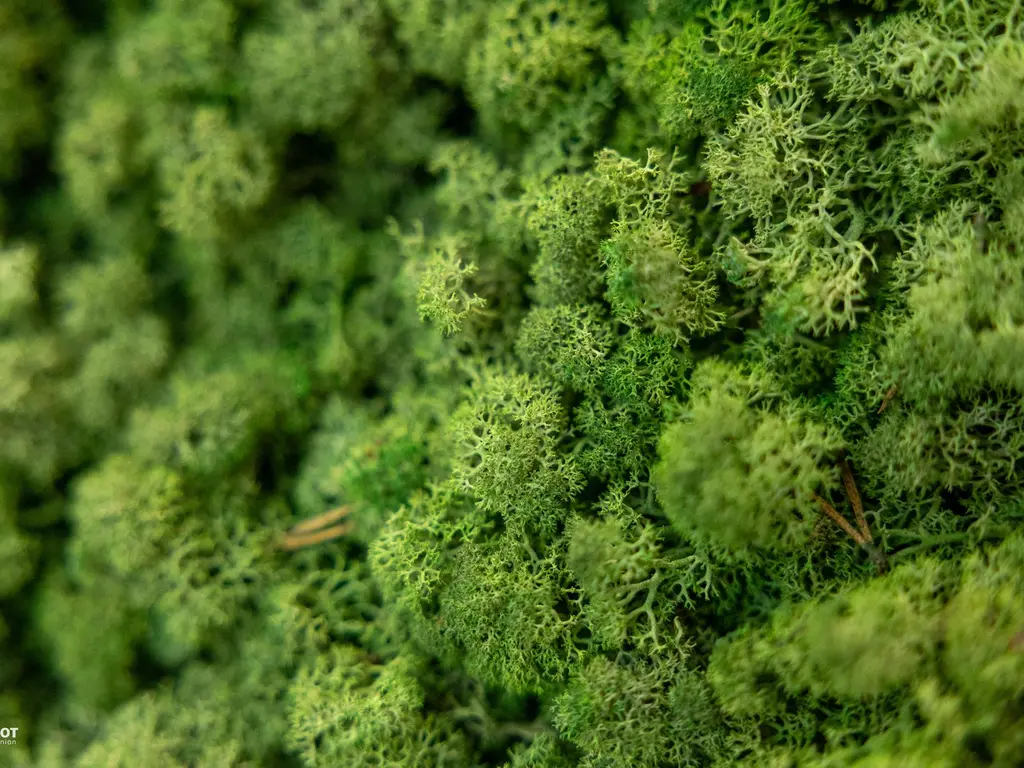 Rat Verleghstraat 120, Breda