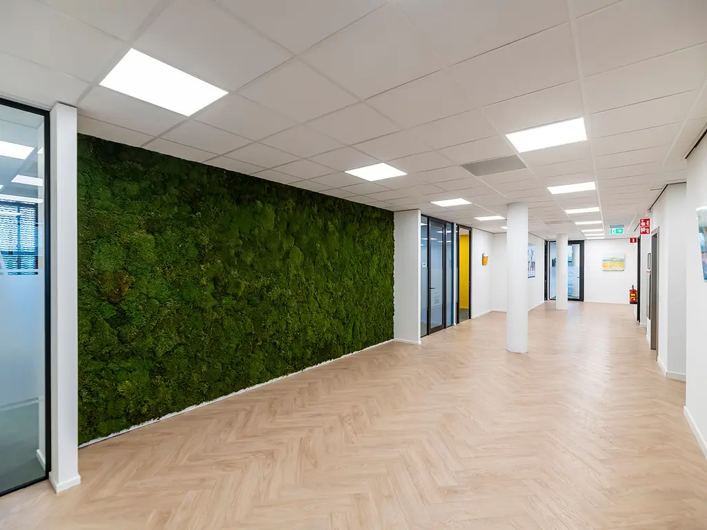 Minervum 7032, Breda