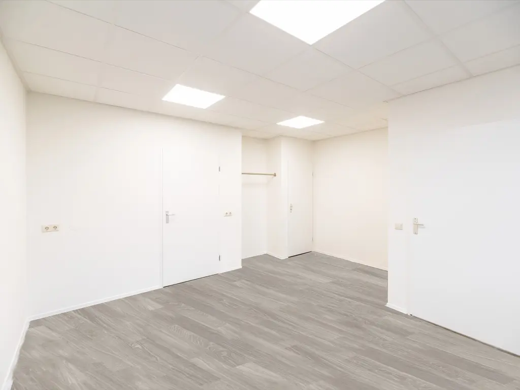 Minervum 7376, BREDA