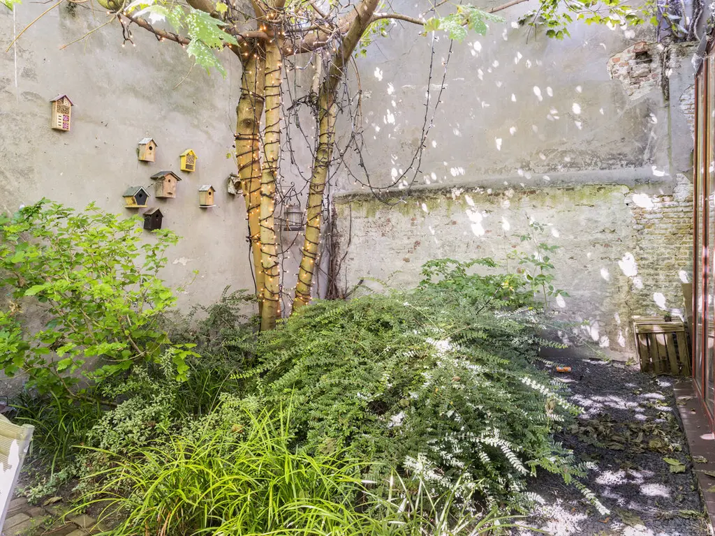 Torenstraat 7, Breda