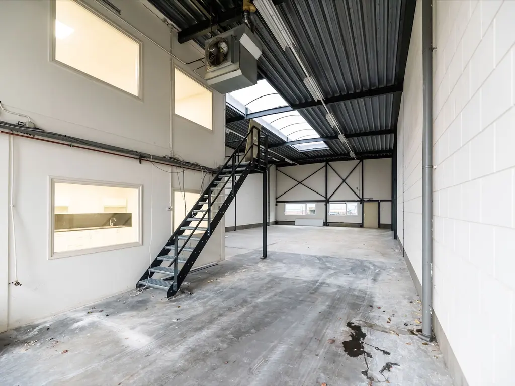 Minervum 7378, Breda