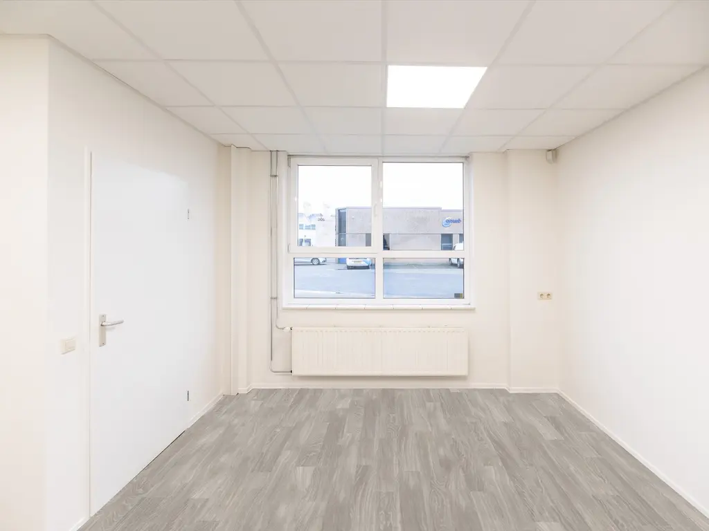 Minervum 7378, Breda