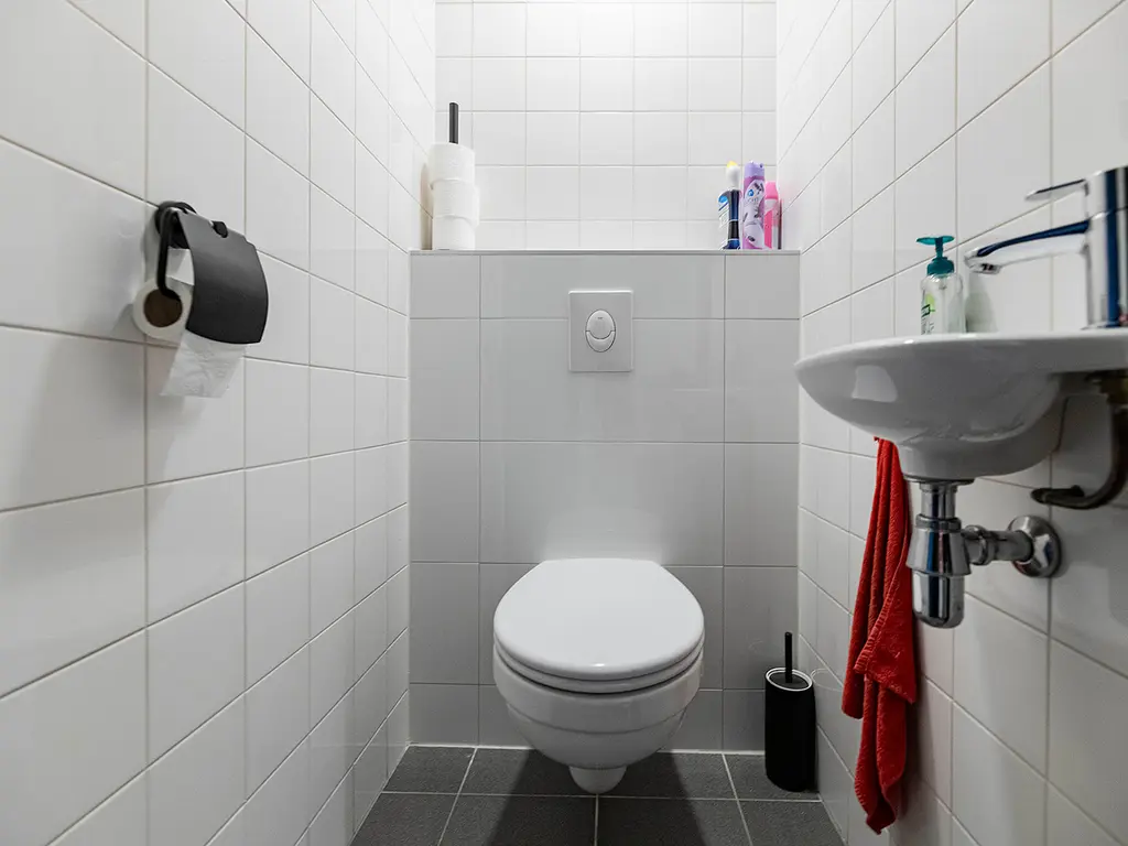 Minervum 7444K, Breda