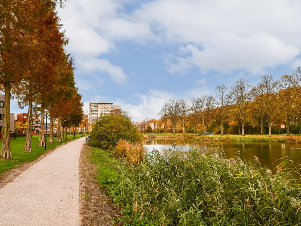 Goudsbloemstraat 37, PAPENDRECHT