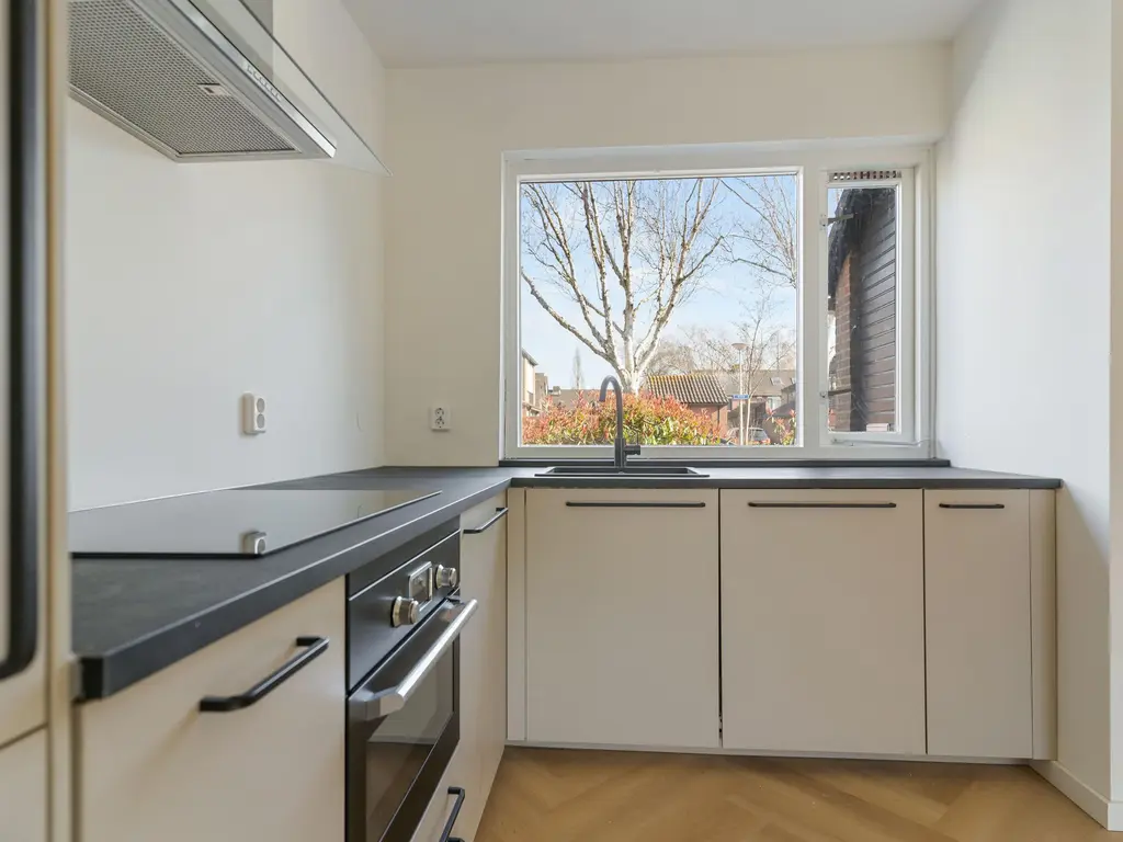 Ring 196, HENDRIK-IDO-AMBACHT