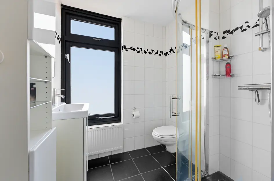 Willem de Zwijgerstraat 102