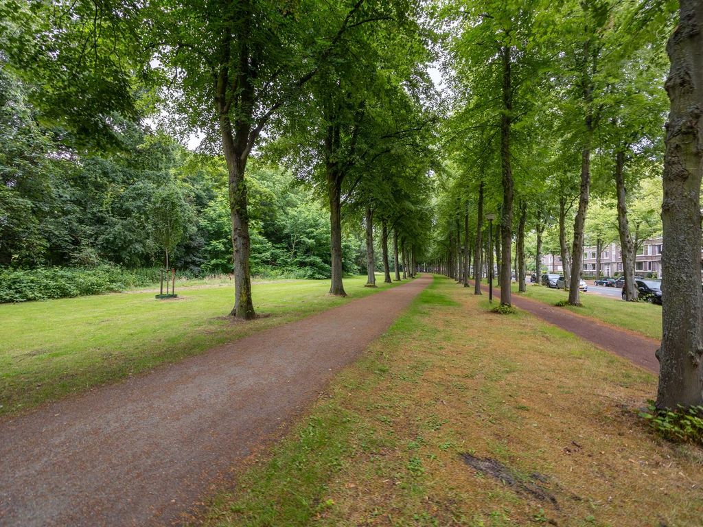 Huis te Landelaan 210, Rijswijk