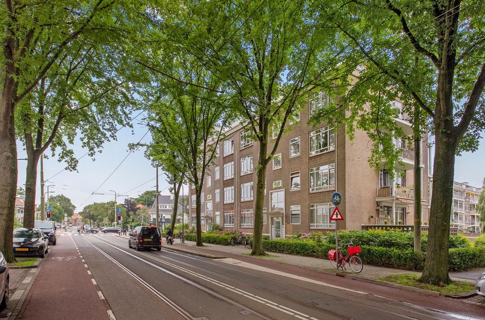 Goudenregenstraat 305