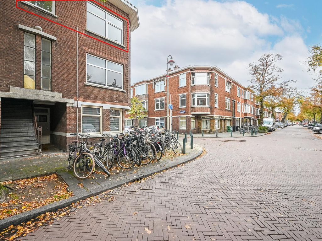 Linnaeusstraat 239, 'S-Gravenhage