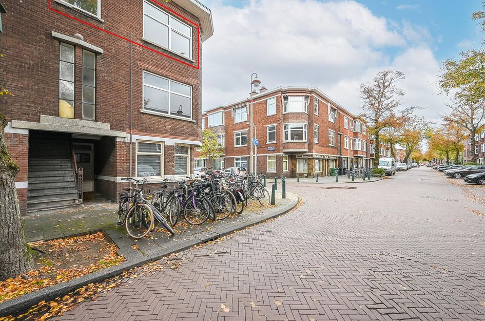 Linnaeusstraat 239