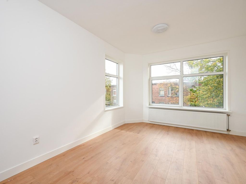 Linnaeusstraat 239, 'S-Gravenhage
