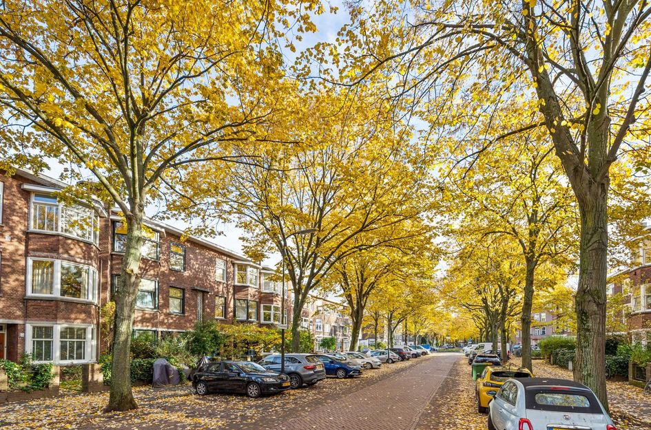 Caan van Necklaan 159a