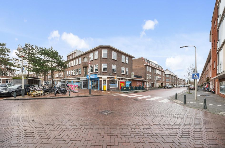Pluvierstraat 272