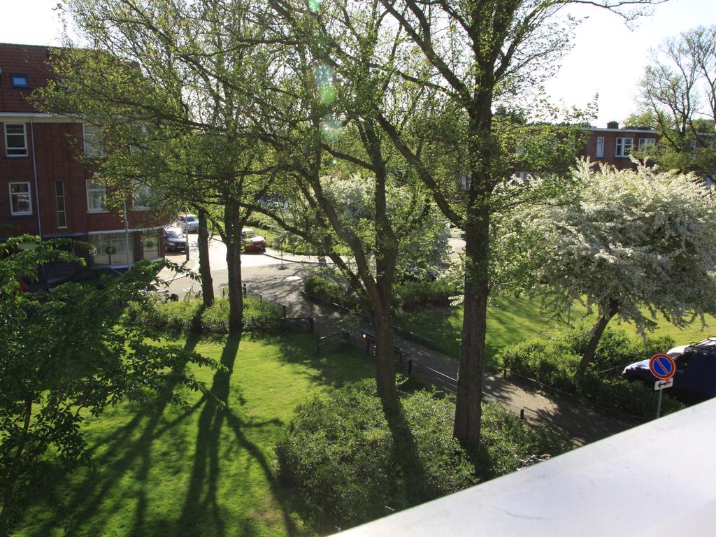 Allard Piersonlaan 272, 'S-Gravenhage