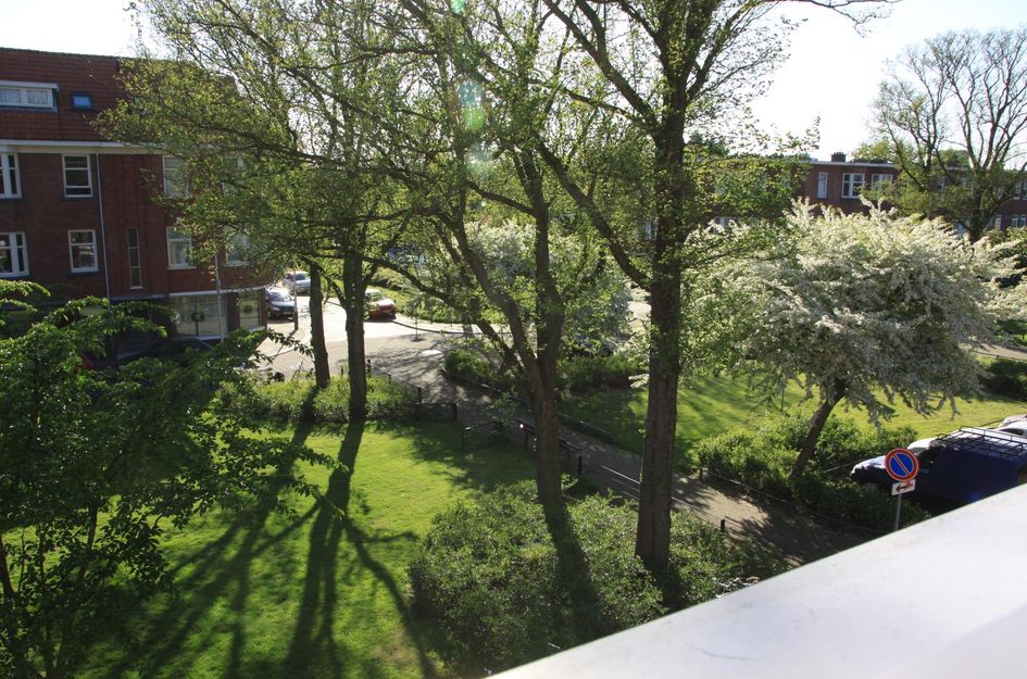 Allard Piersonlaan 272