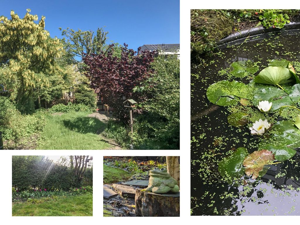 Beukstraat 133, 'S-Gravenhage