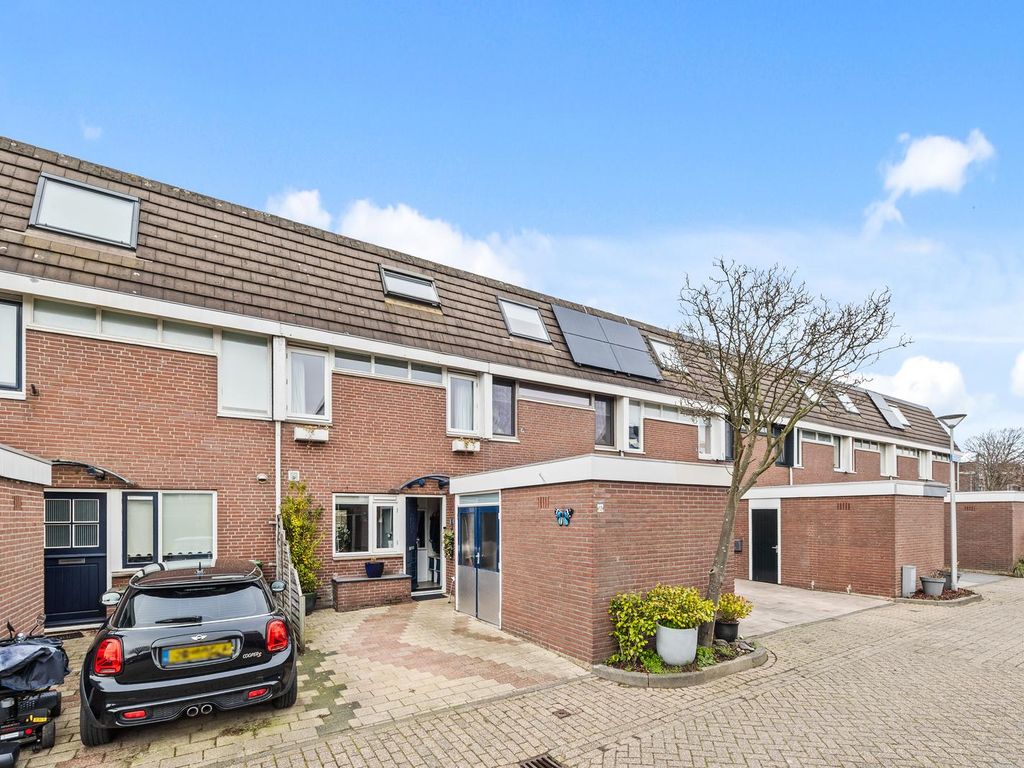 van Ostade 13, Monster