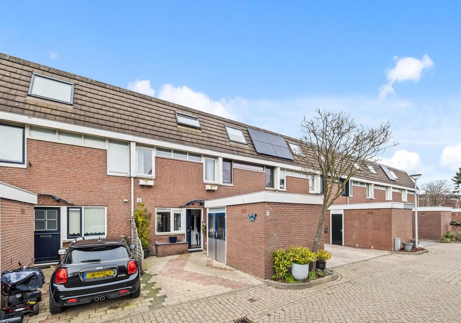 van Ostade 13, Monster