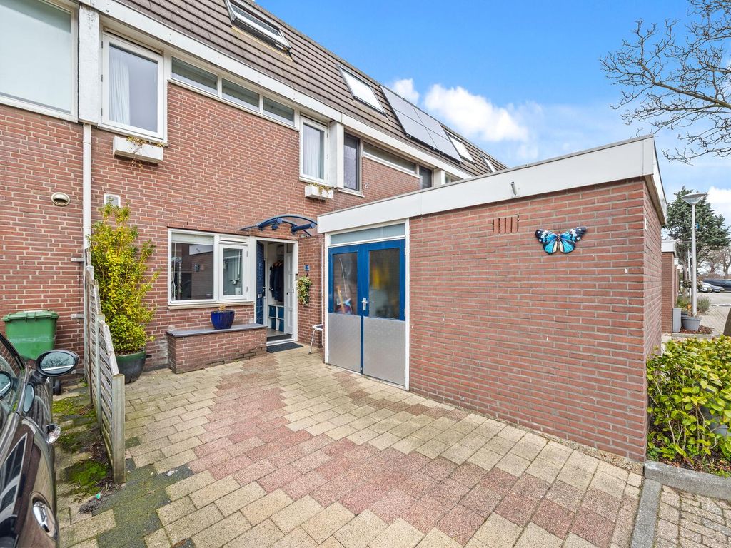 van Ostade 13, Monster