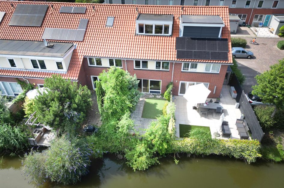Blauw Glidkruid 42