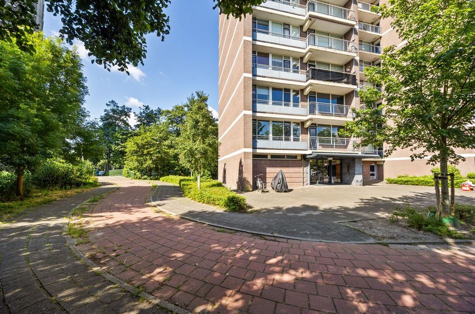 Populierendreef 308