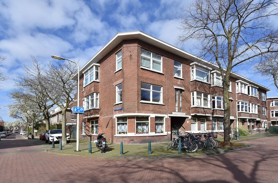 Linnaeusstraat 263