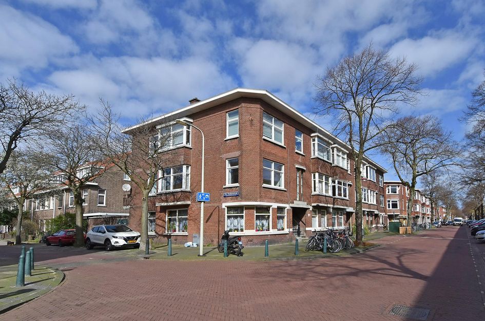 Linnaeusstraat 263