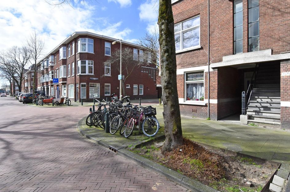 Linnaeusstraat 263