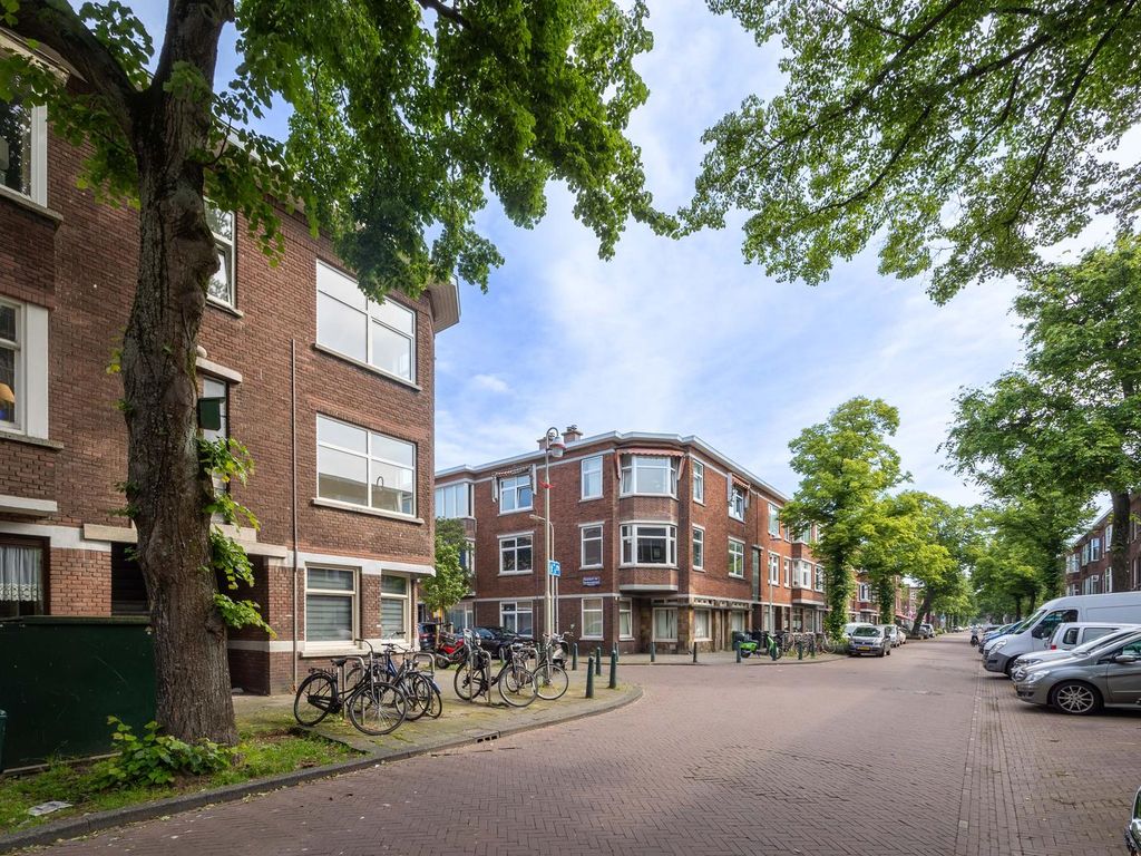 Linnaeusstraat 241, 'S-Gravenhage