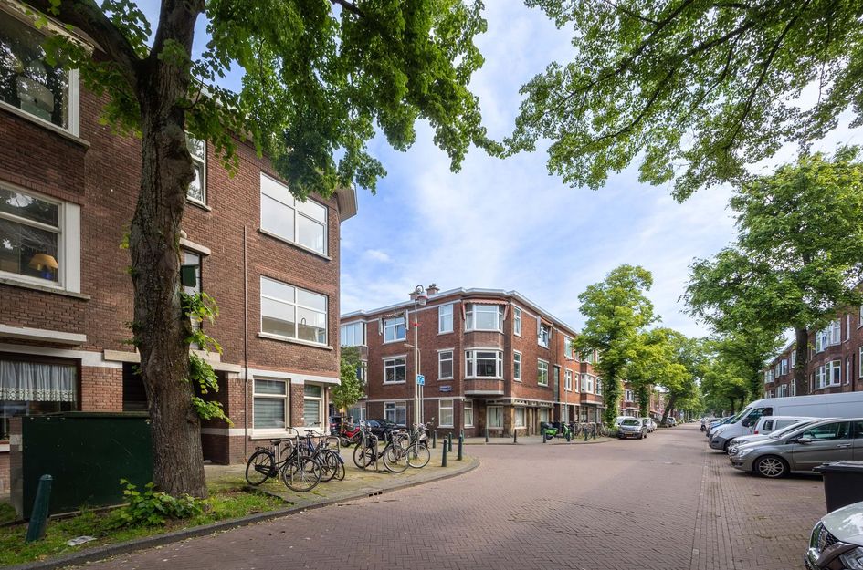 Linnaeusstraat 241