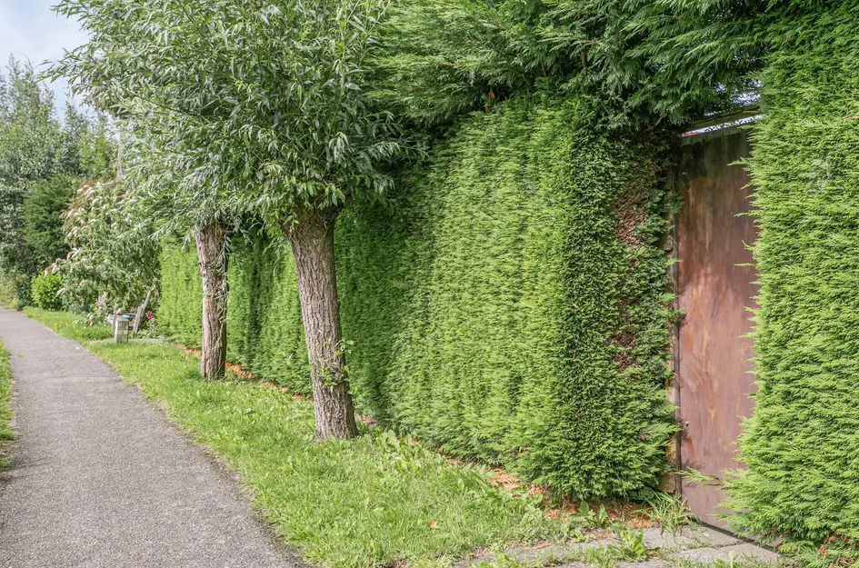 Utrechtsestraatweg 71I