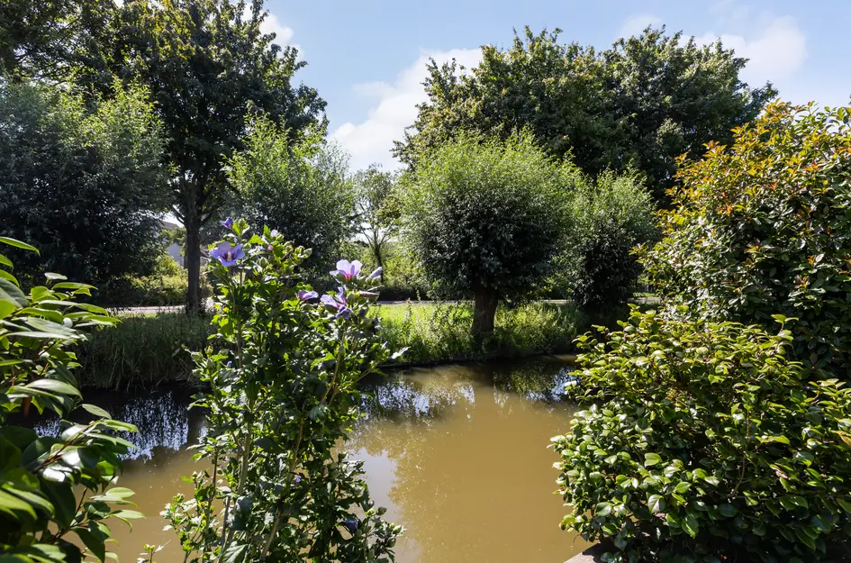 Boterbloemweide 35
