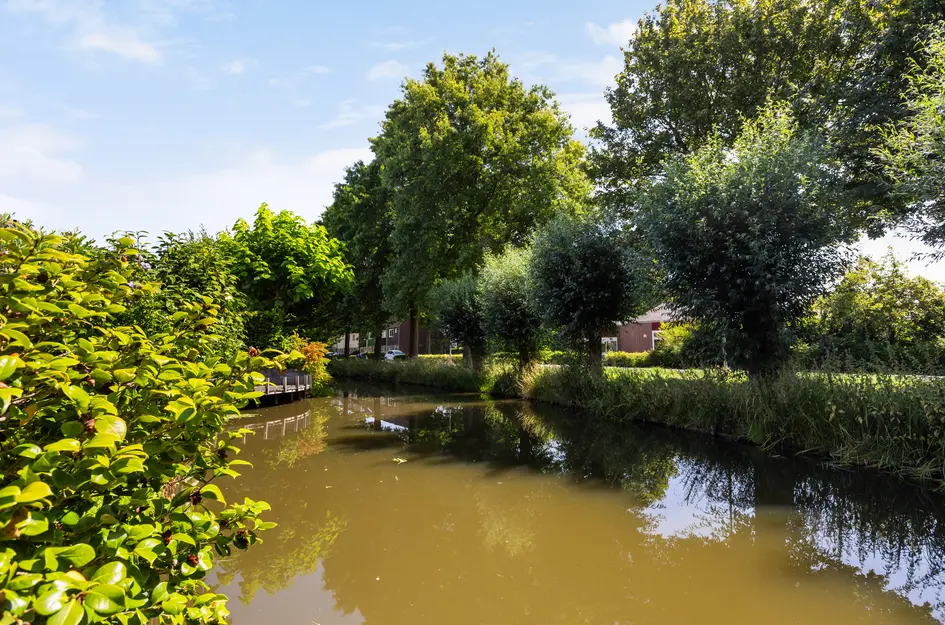 Boterbloemweide 35