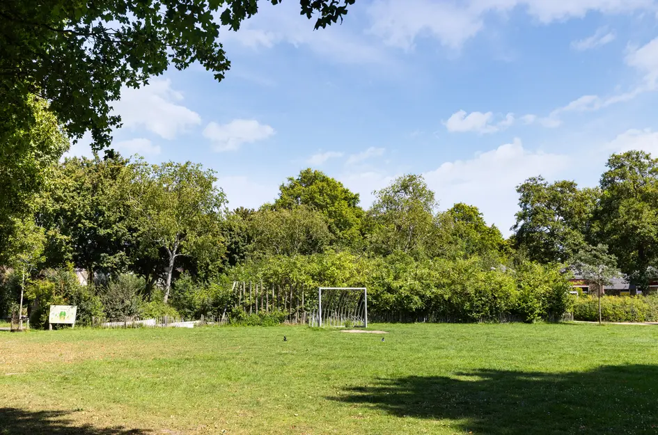 Boterbloemweide 35
