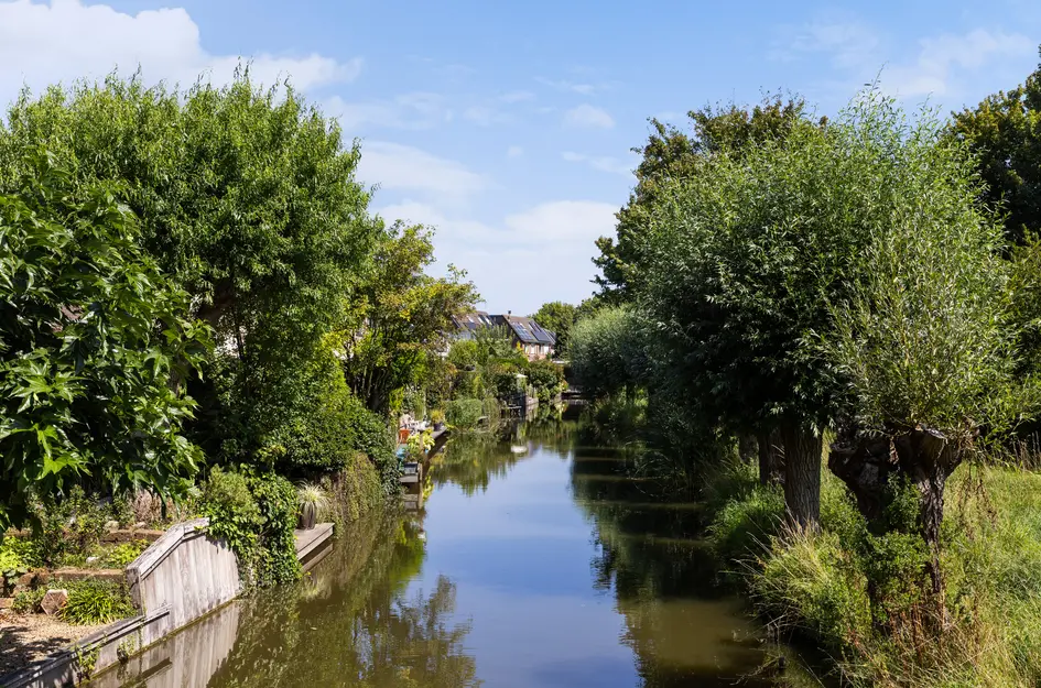 Boterbloemweide 35