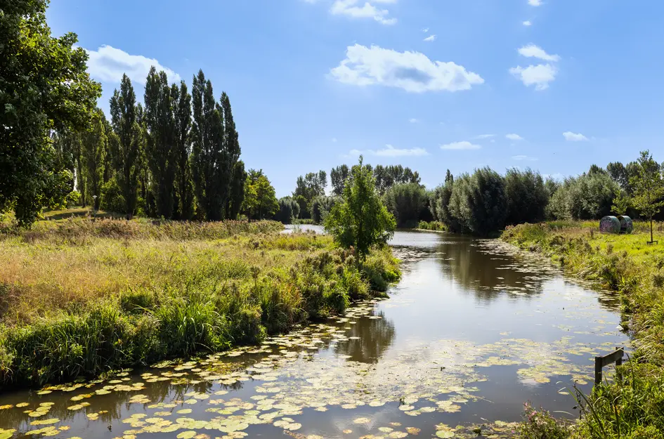 Gentiaanweide 12