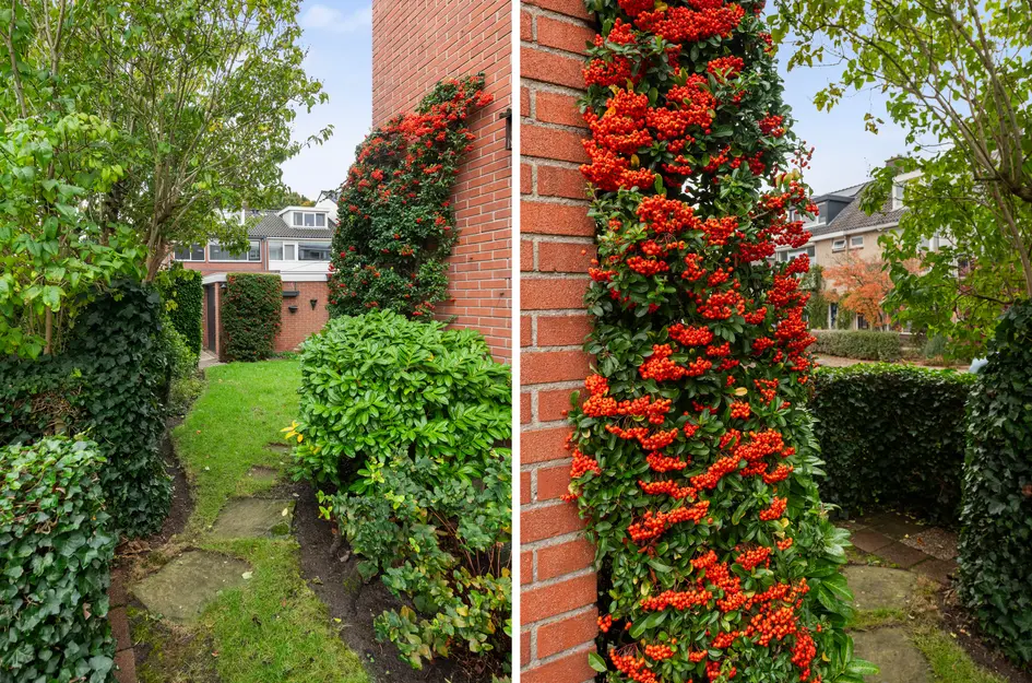 Marius Bauerstraat 1