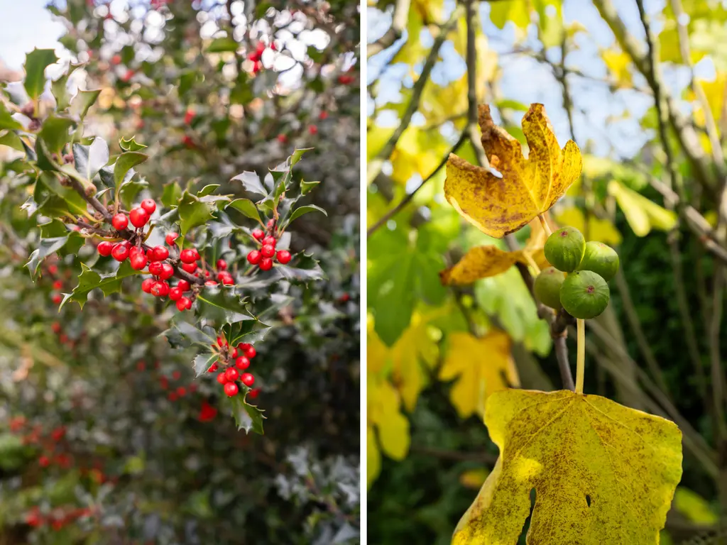 V.d. Duijn van Maasdamlaan 6, WOERDEN