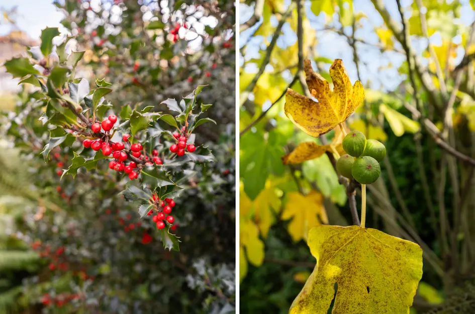 V.d. Duijn van Maasdamlaan 6