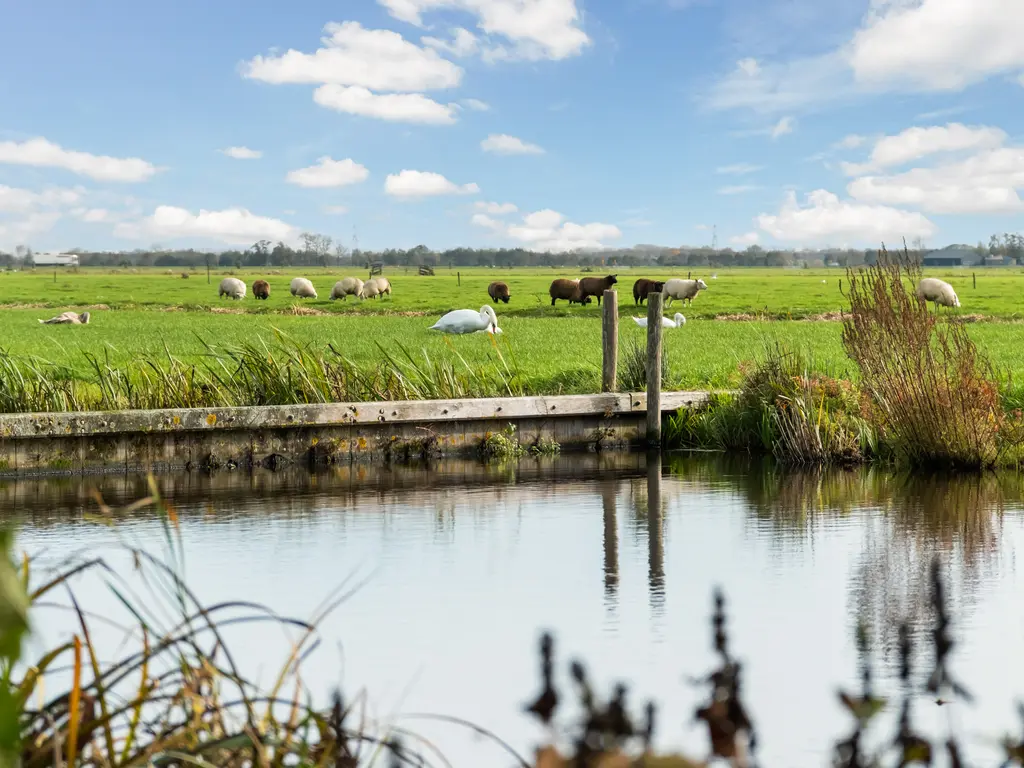 Van Teylingenweg 127, KAMERIK