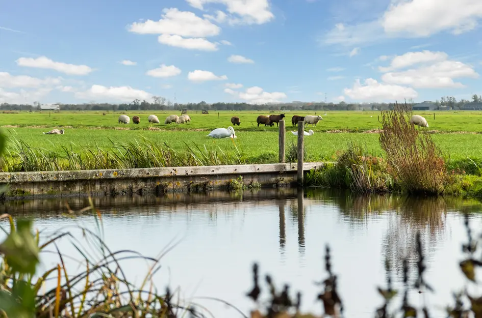 Van Teylingenweg 127