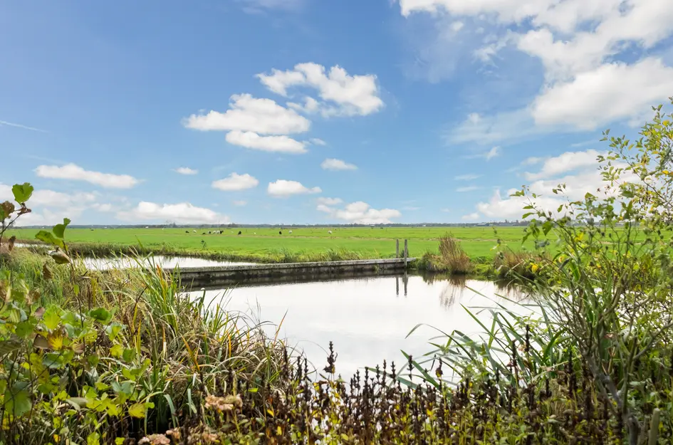 Van Teylingenweg 127