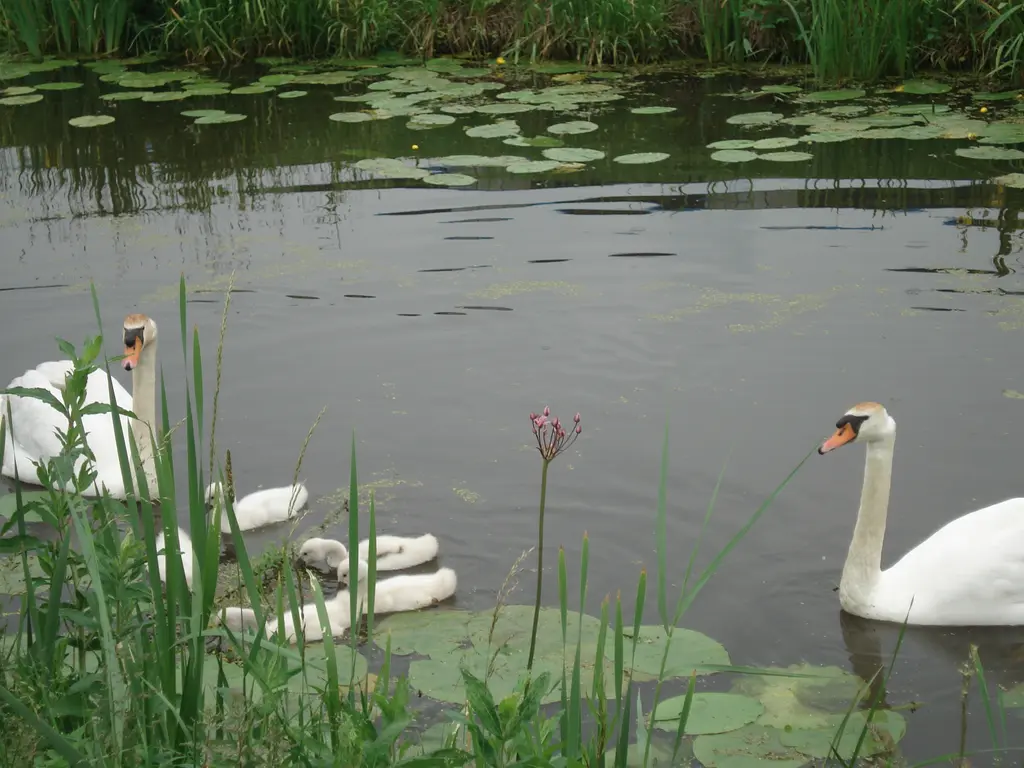 Het Jaagpad 42, LINSCHOTEN