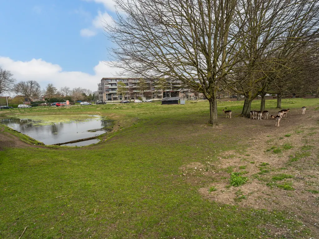 Adriaan Duyckpad 29, WOERDEN