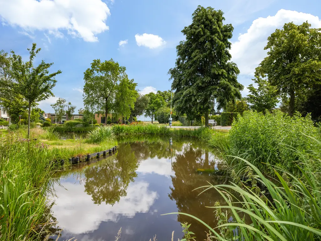 Berkenlaan 1, Kamerik