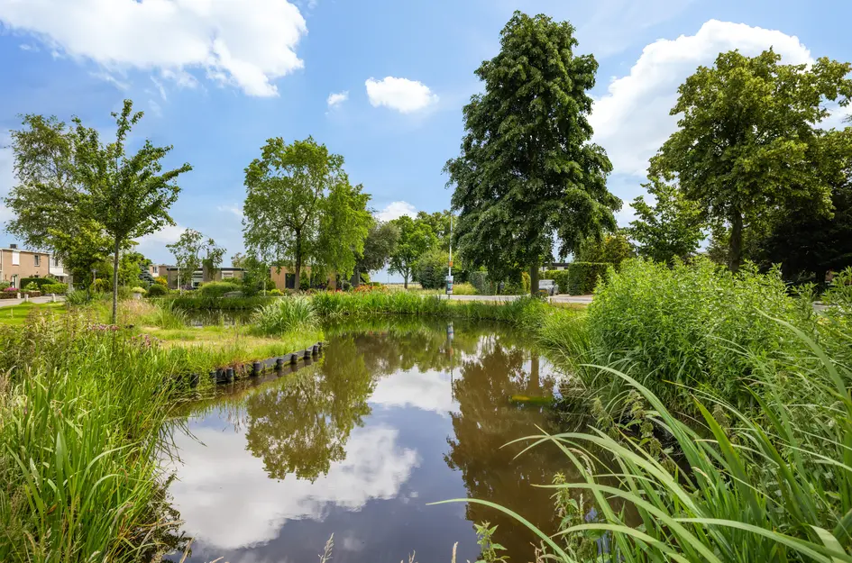 Berkenlaan 1