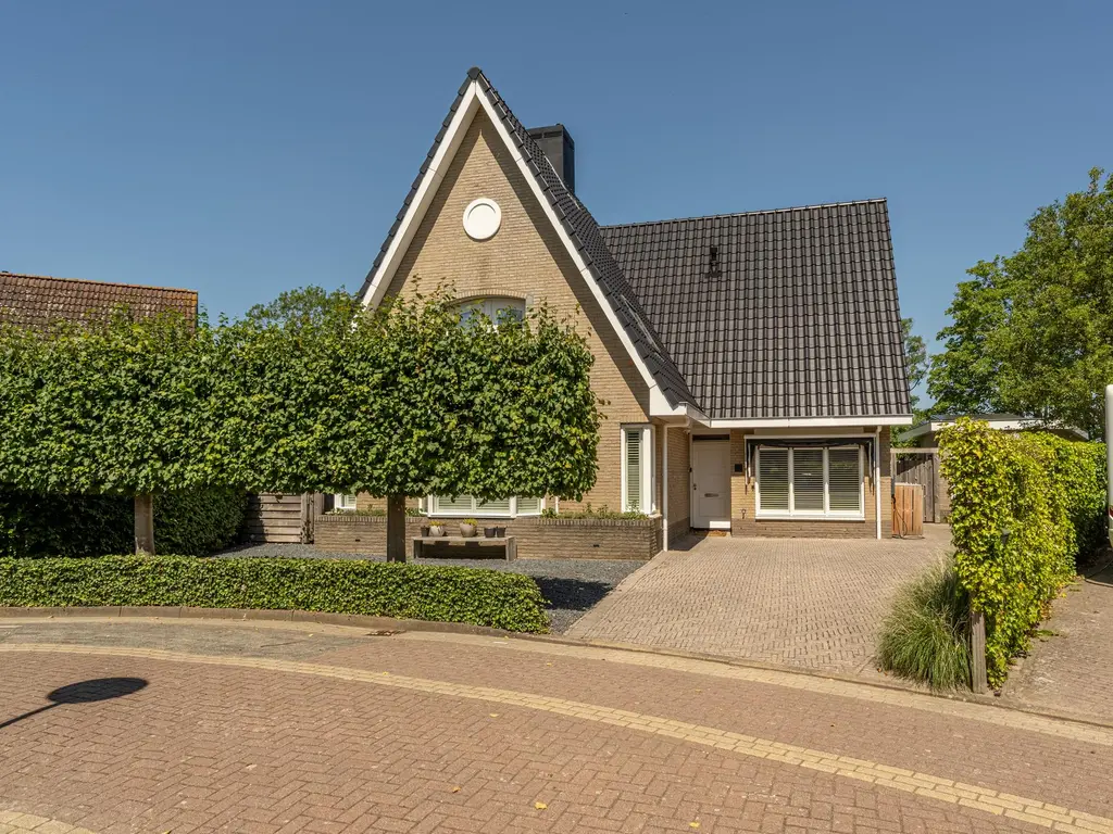 Mandoline 9, KLAASWAAL