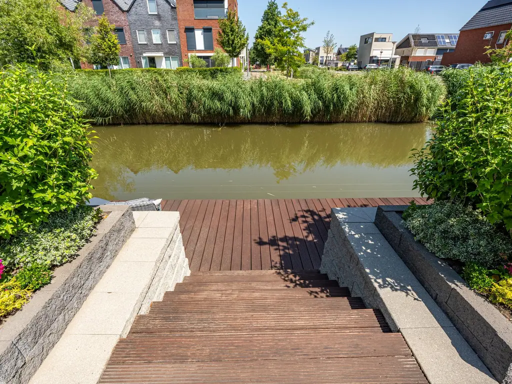 Viool 7, OUD-BEIJERLAND